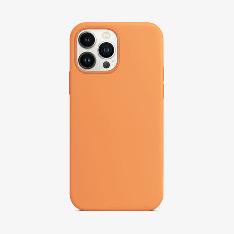 iPhone 13 Pro Max Silicone case